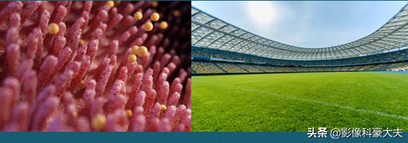 小孩便秘去医院洗肠全过程,六岁孩子五天没排便了怎么办