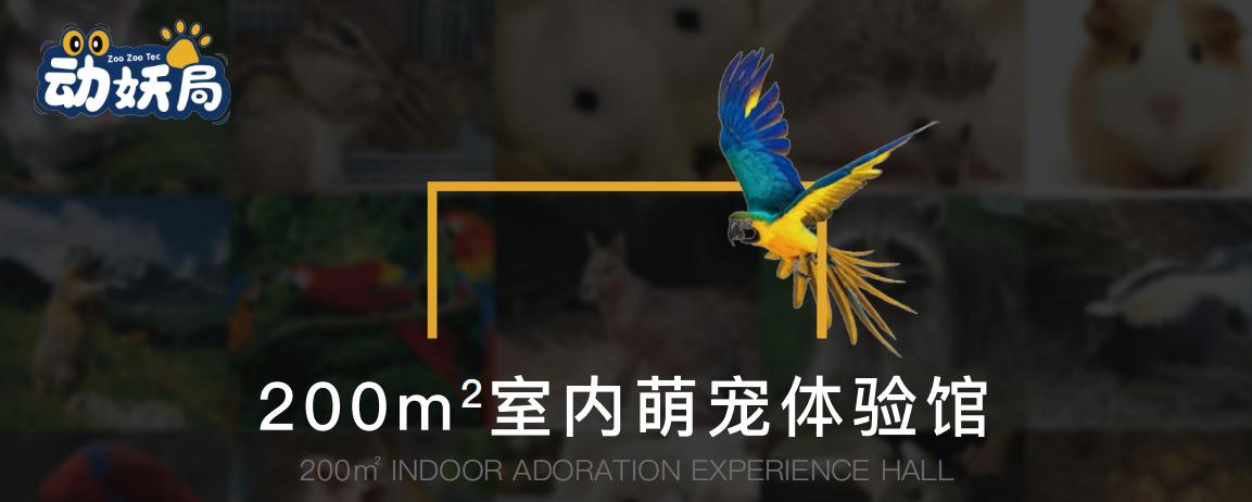 动妖局萌宠乐园加盟,室内萌宠乐园商业模式