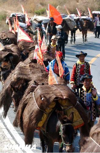 普洱茶可以配什么一起喝,你们配喝普洱茶吗