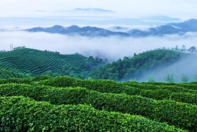 宝鸡和西安哪个更宜居,继西安之后陕西又一黑马城市崛起