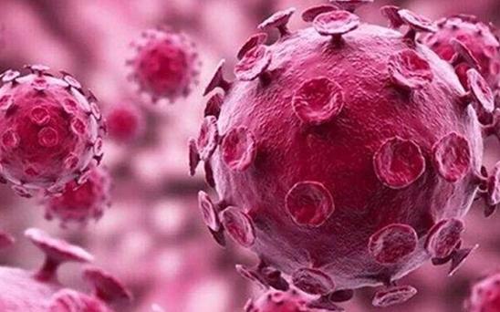 HPV病毒会不会从低危型升级为高危型？