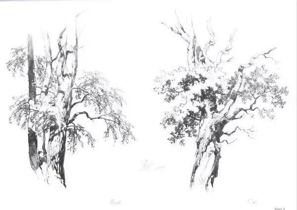 风景速写1000例临摹图高清,炭笔速写风景初学者图片教程