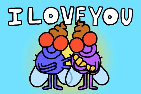 苍蝇爬到吃的食物上会怎样,苍蝇会爬到哪些食物上