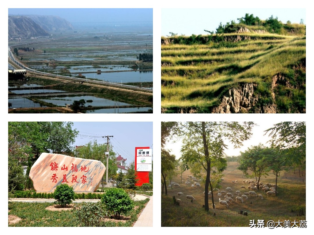 迷失的亲情王家三兄弟普法栏目剧,迷失的青春