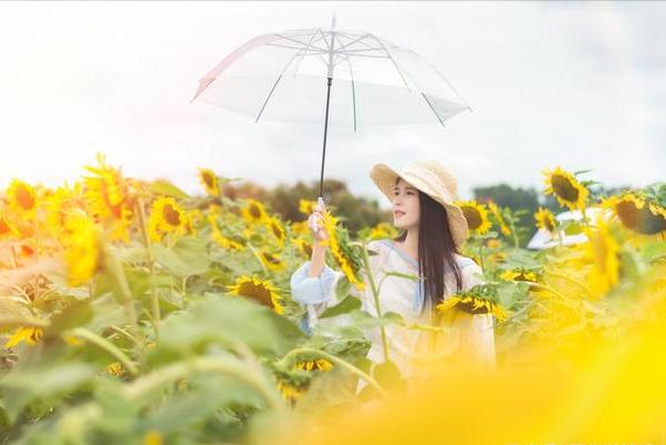 怎么才能让女人主动倒追你,让女人倒追你的四句话