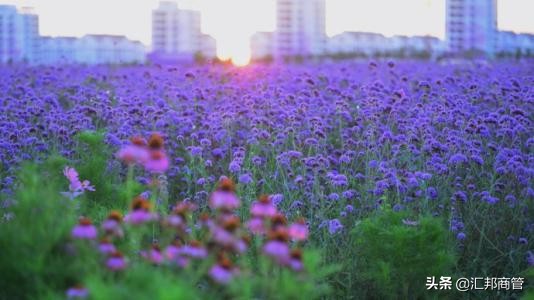 城运巨变，为什么是金昌？