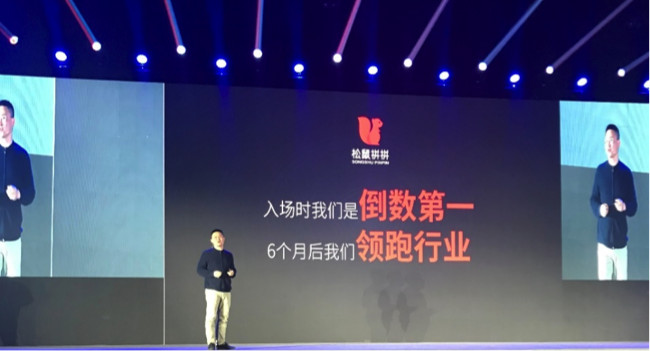 松鼠破产后的绝望,松鼠破产后续