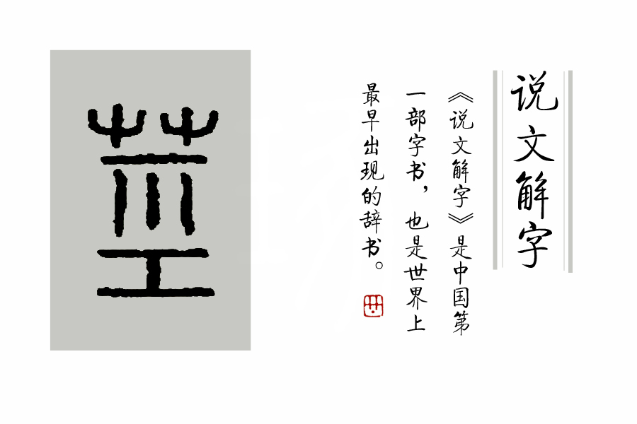 汉字说：“萌”和“芽”的区别是什么？