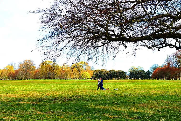 游凤凰古城游记,游凤凰古城旅游攻略三日游