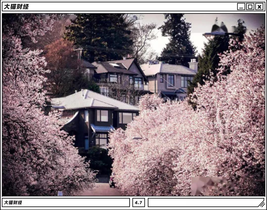 纵横温哥华的中国富二代，烧钱“心很累”