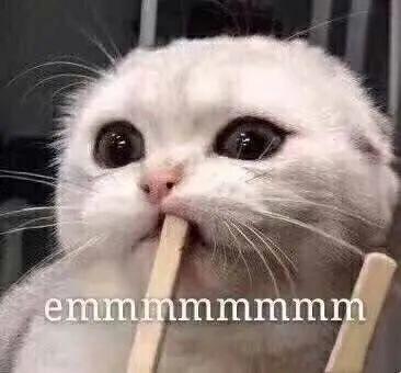 狗狗拉大便怎么判断,狗狗拉便便要怎么发现