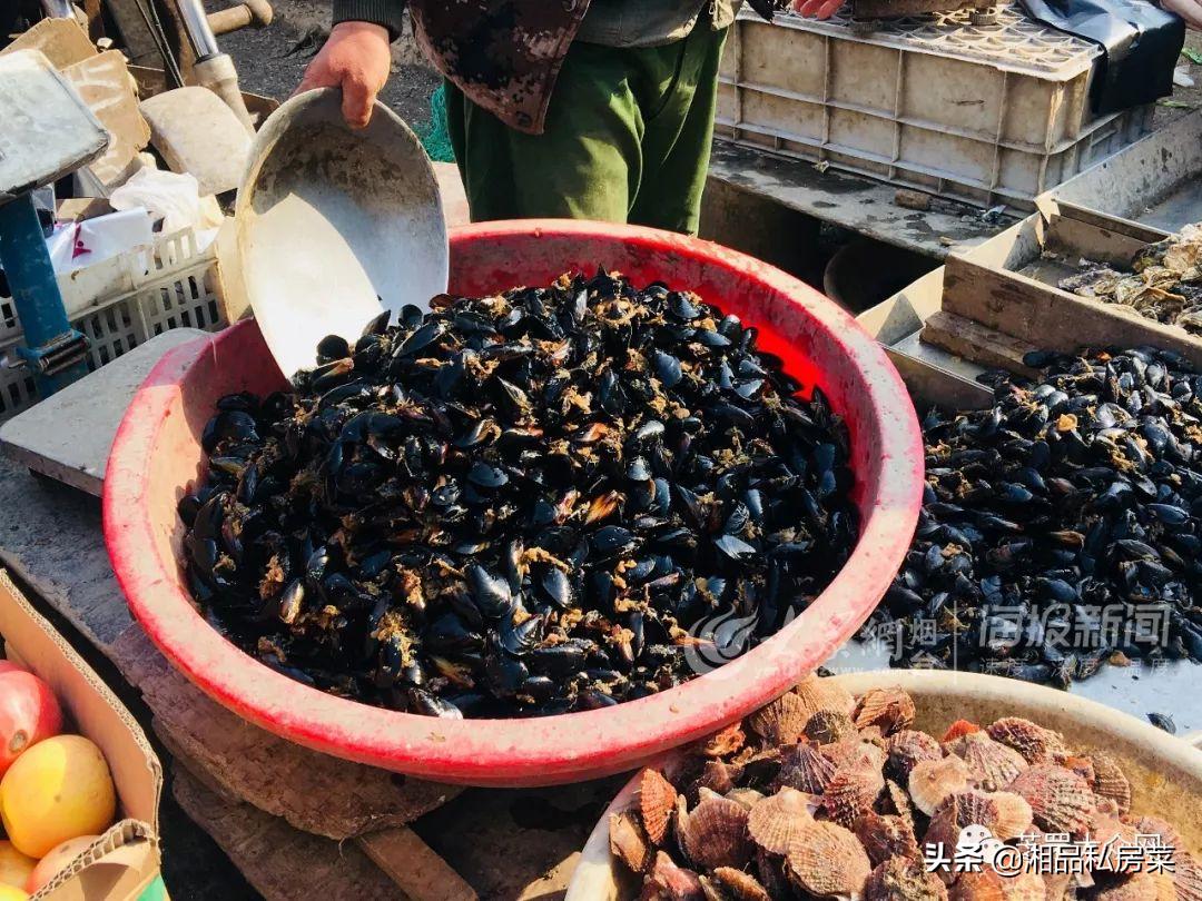 猪肉海鲜饺子馅的做法大全,海鲜饺子馅配方大全