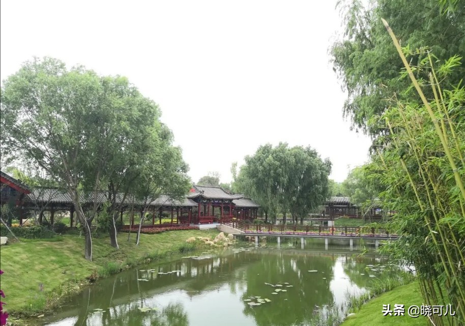 山东送游客什么礼物,山东沿海旅游必买纪念品