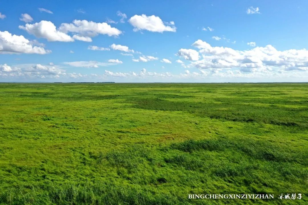 再返富锦，为着那份飘着稻花香的“湿”意约定