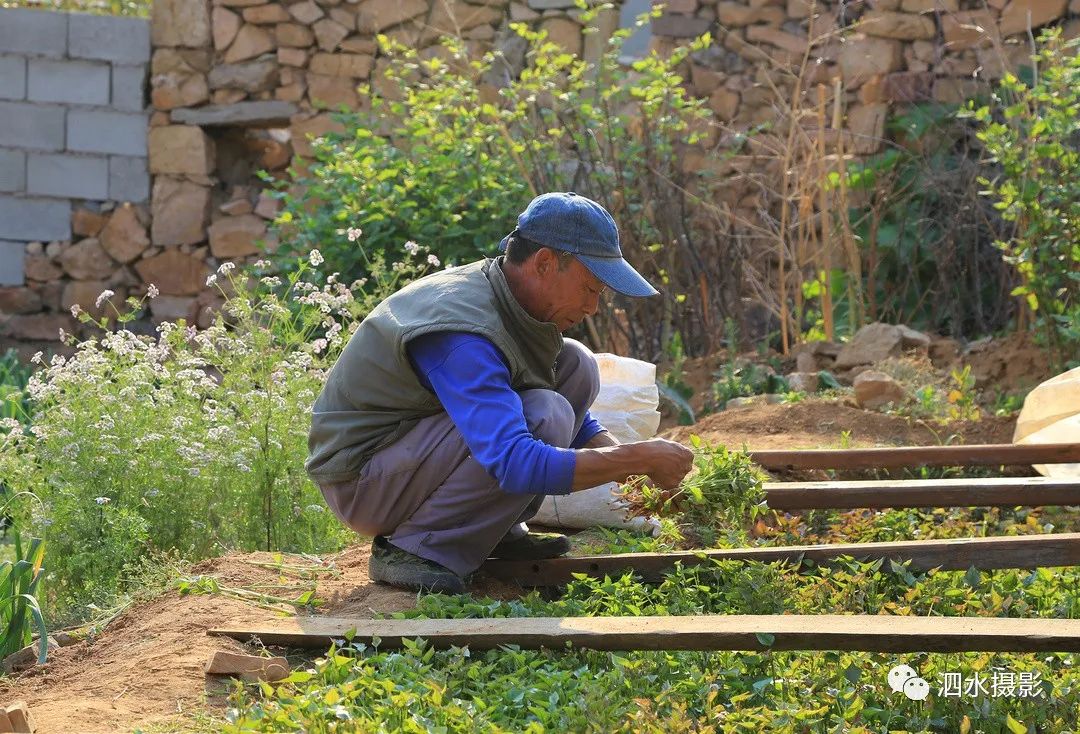 泗张王家庄民俗,泗水泗张王家庄