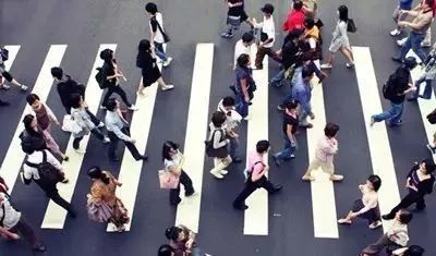 不当环球小姐，她跑到深山，种菜、调香，过上佛系人生