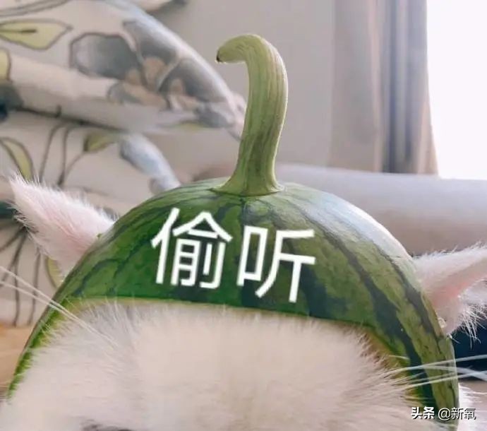 鏃犺壇寰晢楠楀眬鎻,鏃犺壇寰晢