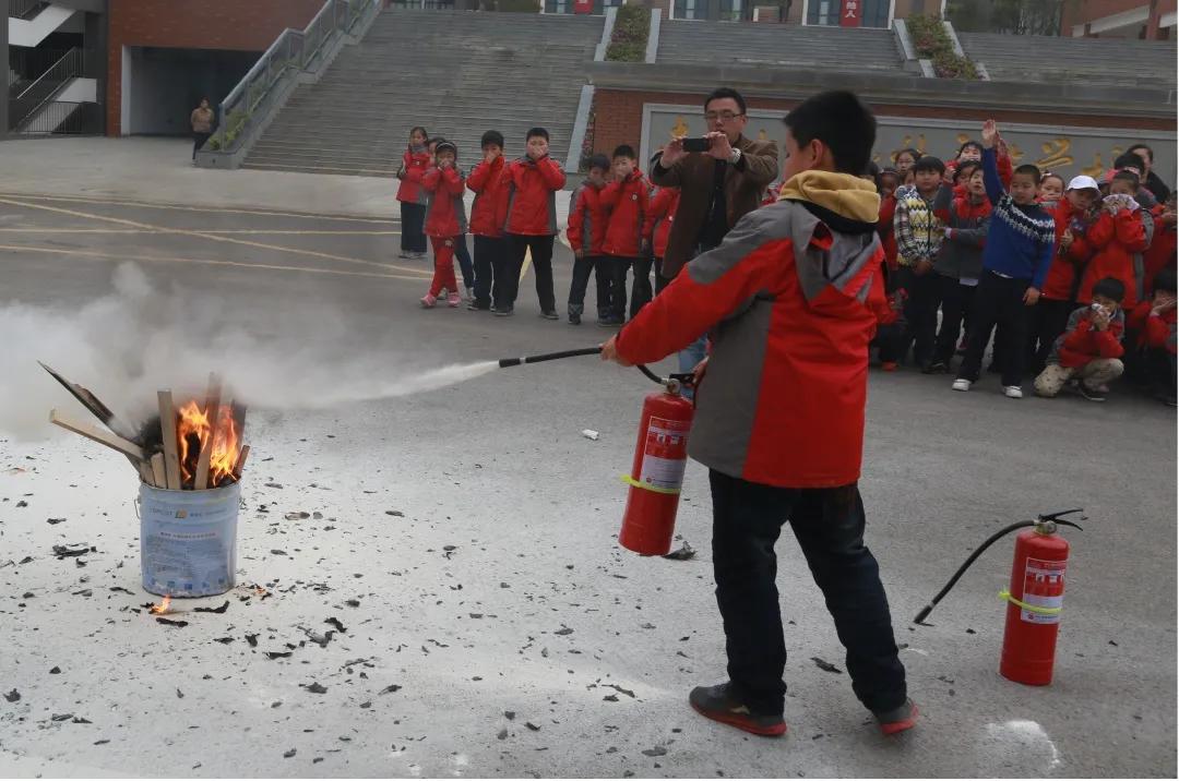 南京市金陵小学南京排名,南京市金陵小学2017