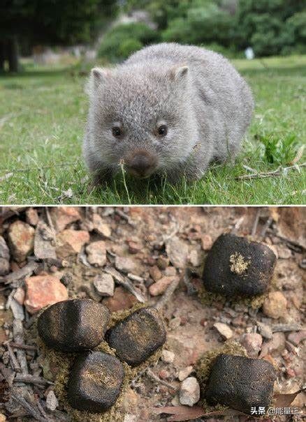 颠覆你认知的16个买房冷知识,颠覆认知的冷知识