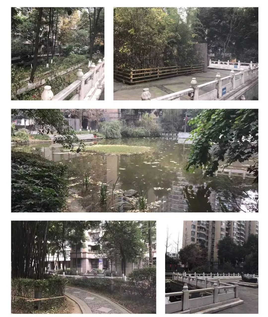 建设路附近学区房,热门双半径学区房