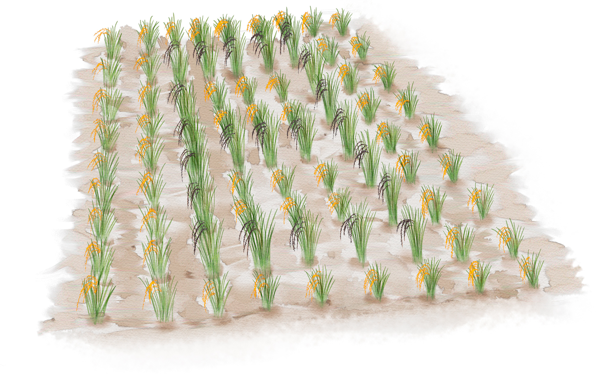 广西人为什么爱钱,广西人为什么爱打工