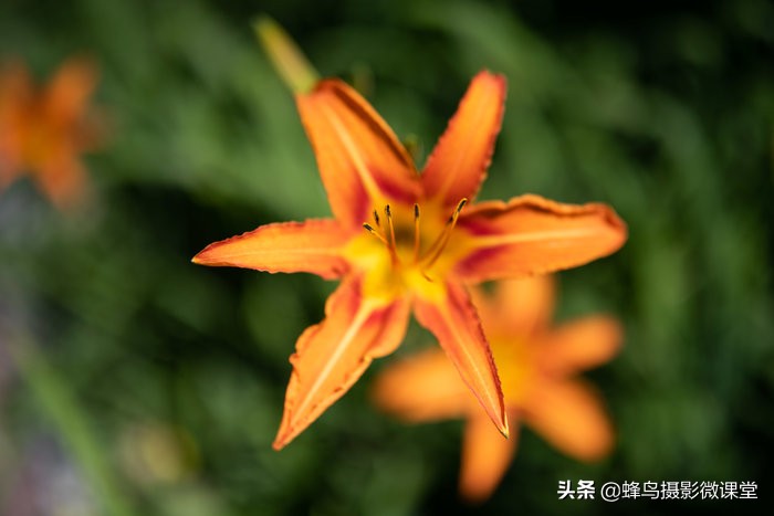 35mm焦段怎么用,35mmf1.4怎么玩