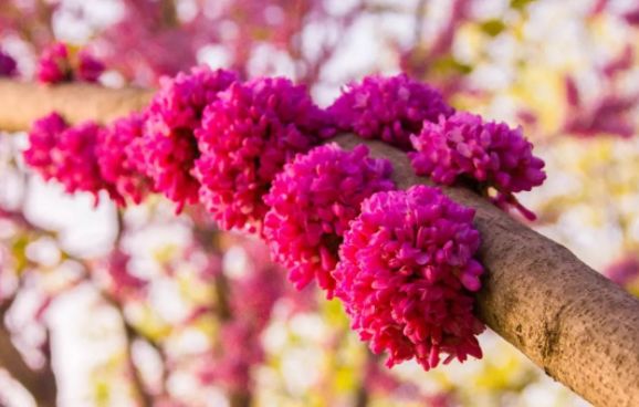 疗愈身体的神奇音乐100首完整版,疗愈身体的神奇密码