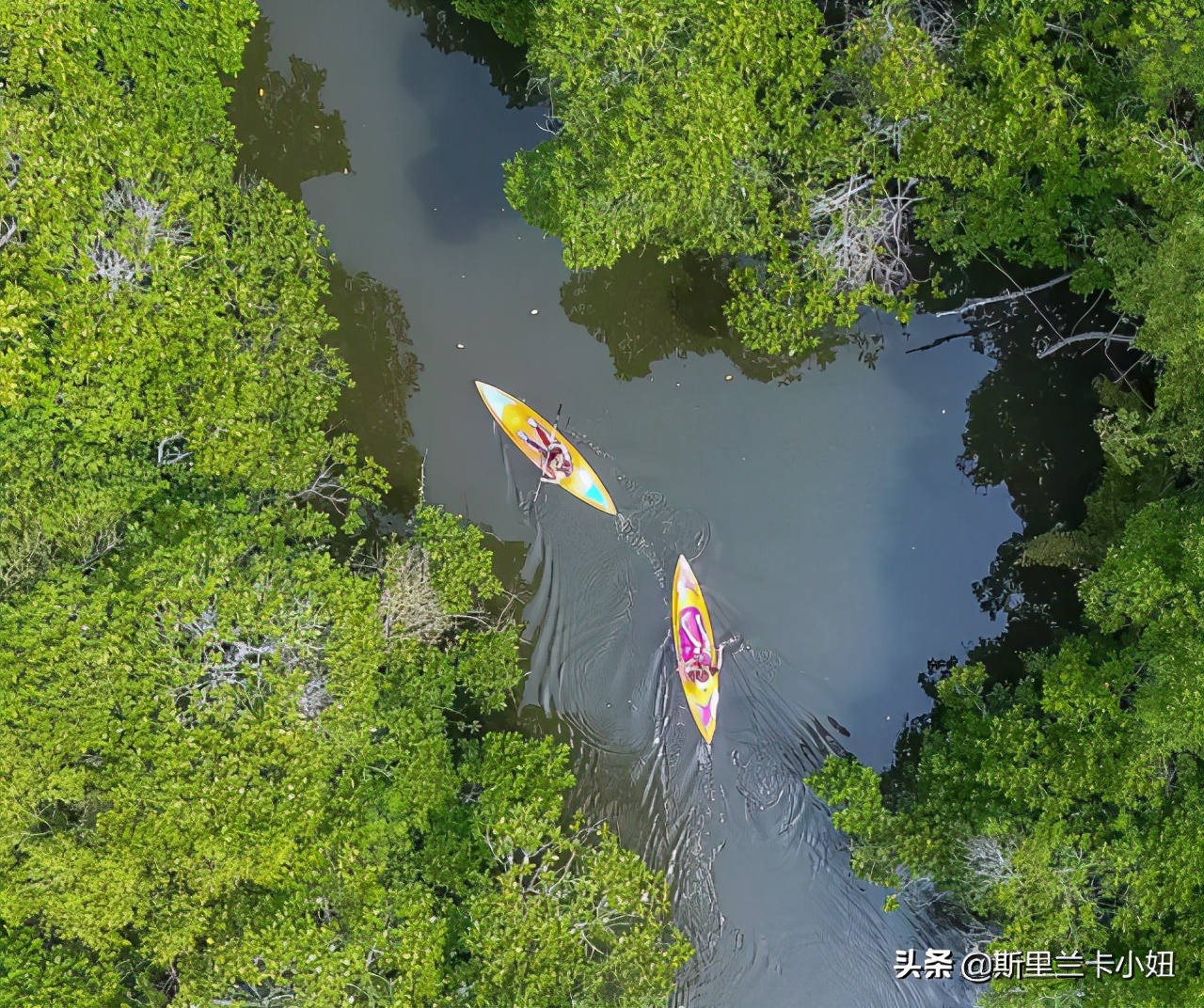 入境斯里兰卡旅游需要什么,斯里兰卡最新入境政策