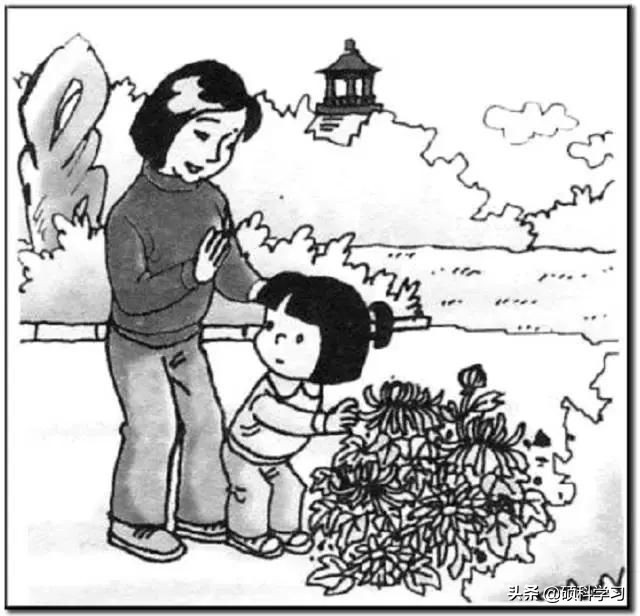 常考范文50篇看图写话一二年级,一二年级看图写话练习100篇附范文