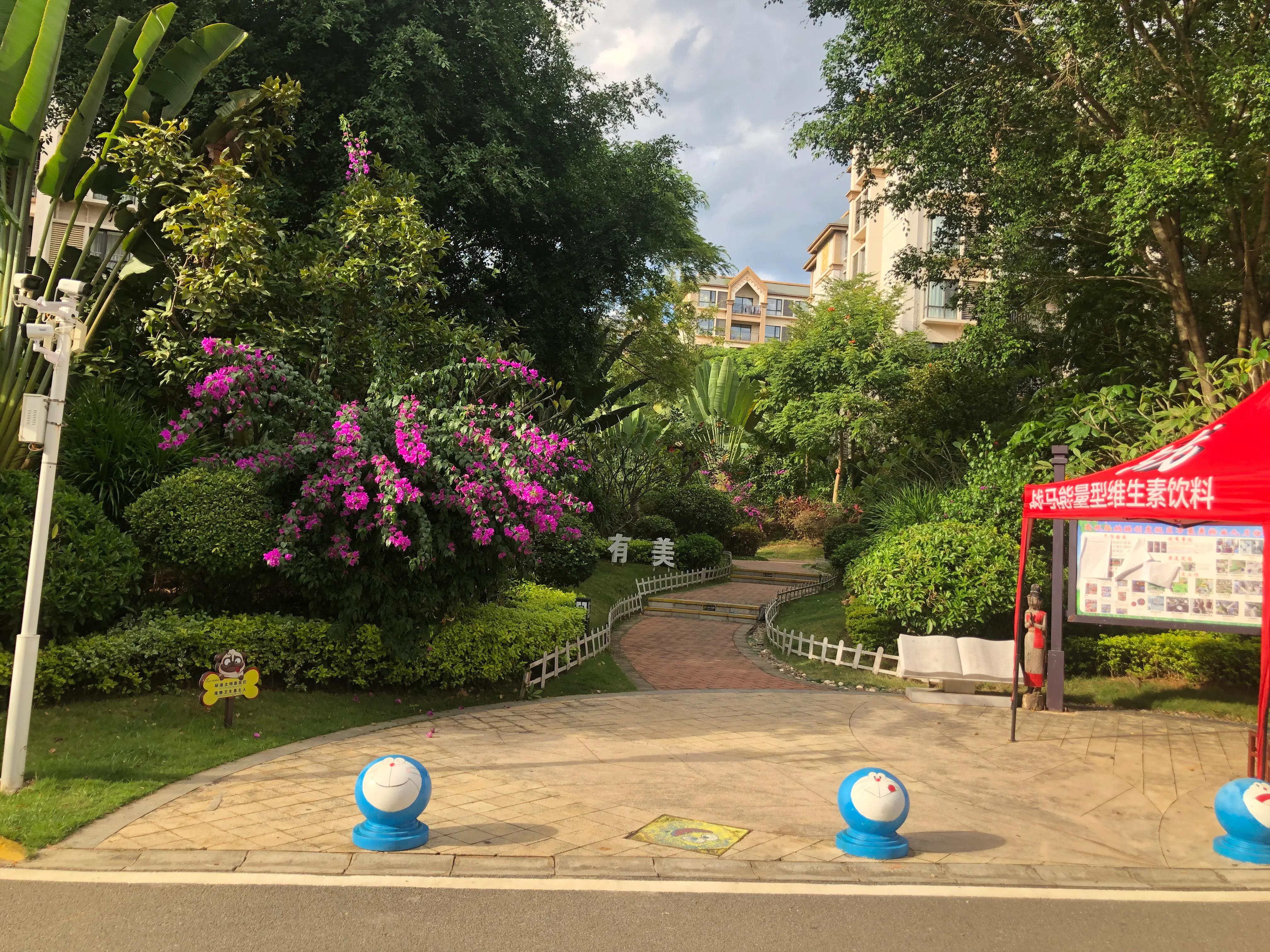 西双版纳租房应注意什么 (去西双版纳租房需要带什么)