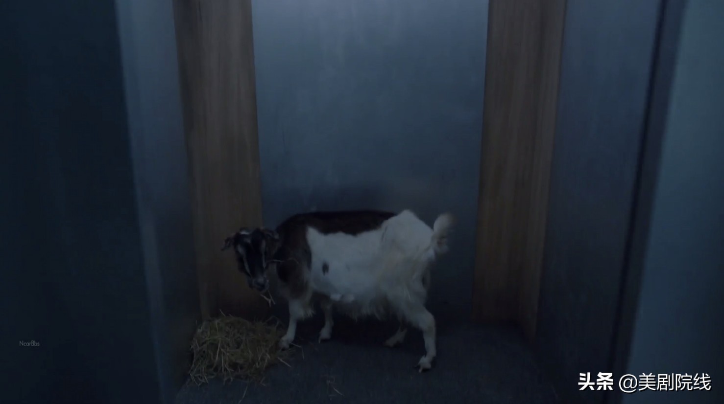 十大公认顶级最好看的科幻美剧,十部公认最好科幻美剧推荐