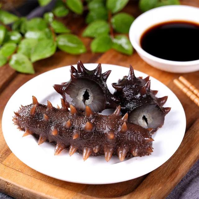 目前国内最好的海参产地哪里找,中国什么地方出产的海参最好