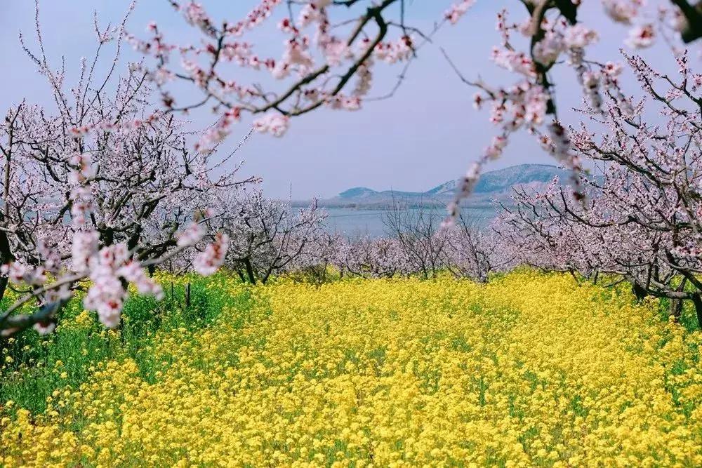 富春山居图惊艳片段,看懂富春山居图画