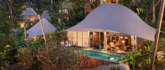 真正的森林树屋,这些树屋满足你对森林的所有幻想