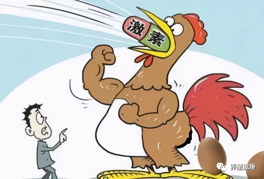 2020年3月21日全国鸡蛋价格汇总,2020年3月20日鸡蛋价格行情参考