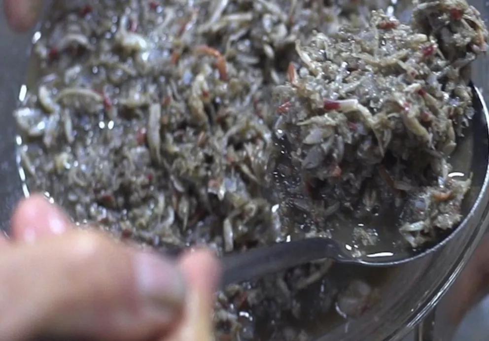 世界臭的美食有哪些,世界怪味食物