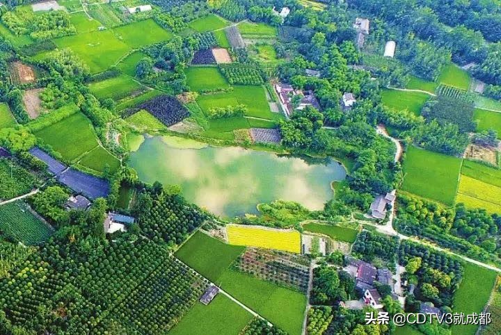 成都国家公园城市建设,开启成都创新型城市发展新征程