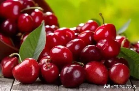 新农人创业的1000种方法,新农人生意思路和方法