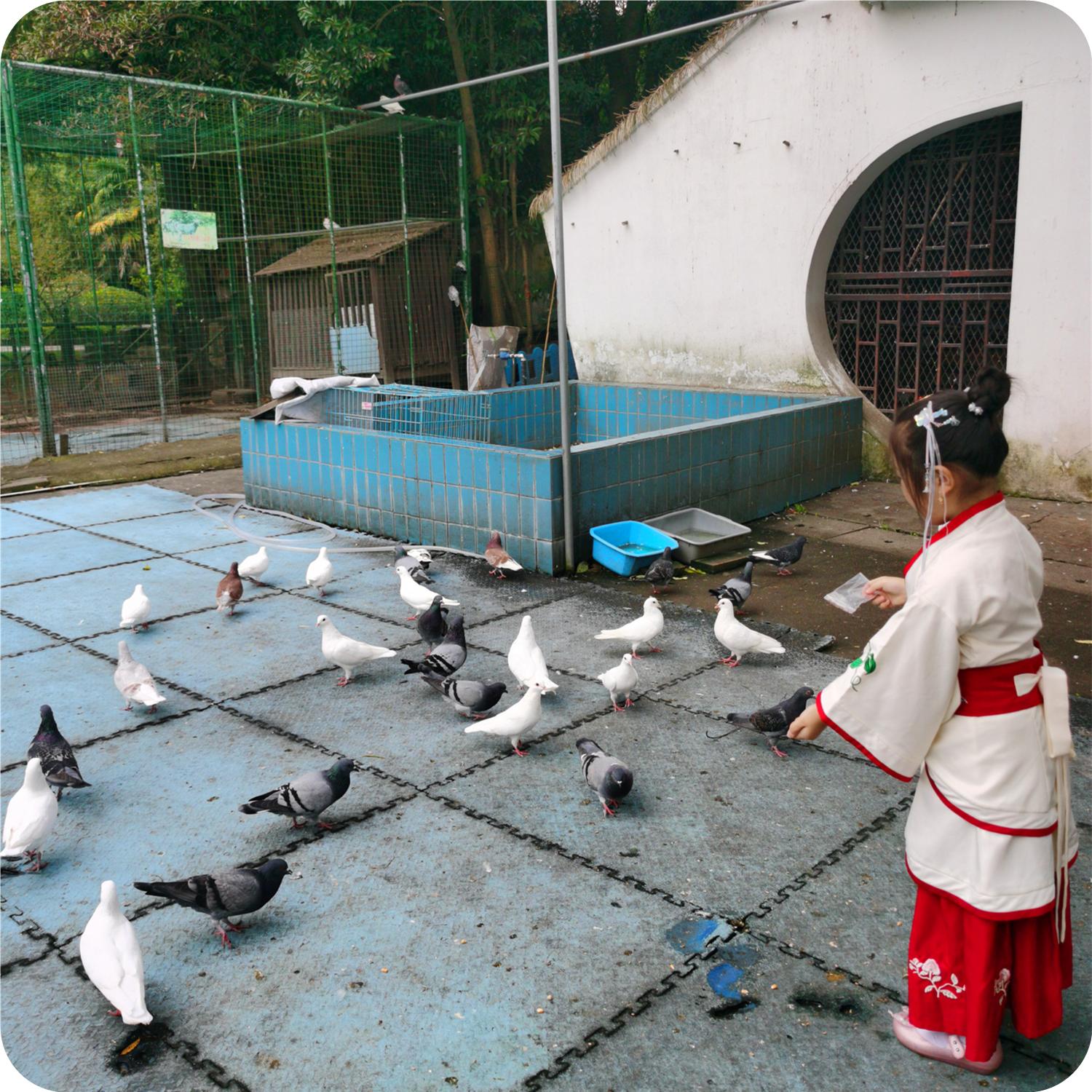 放飞的周末时光,放飞自我的周末时光