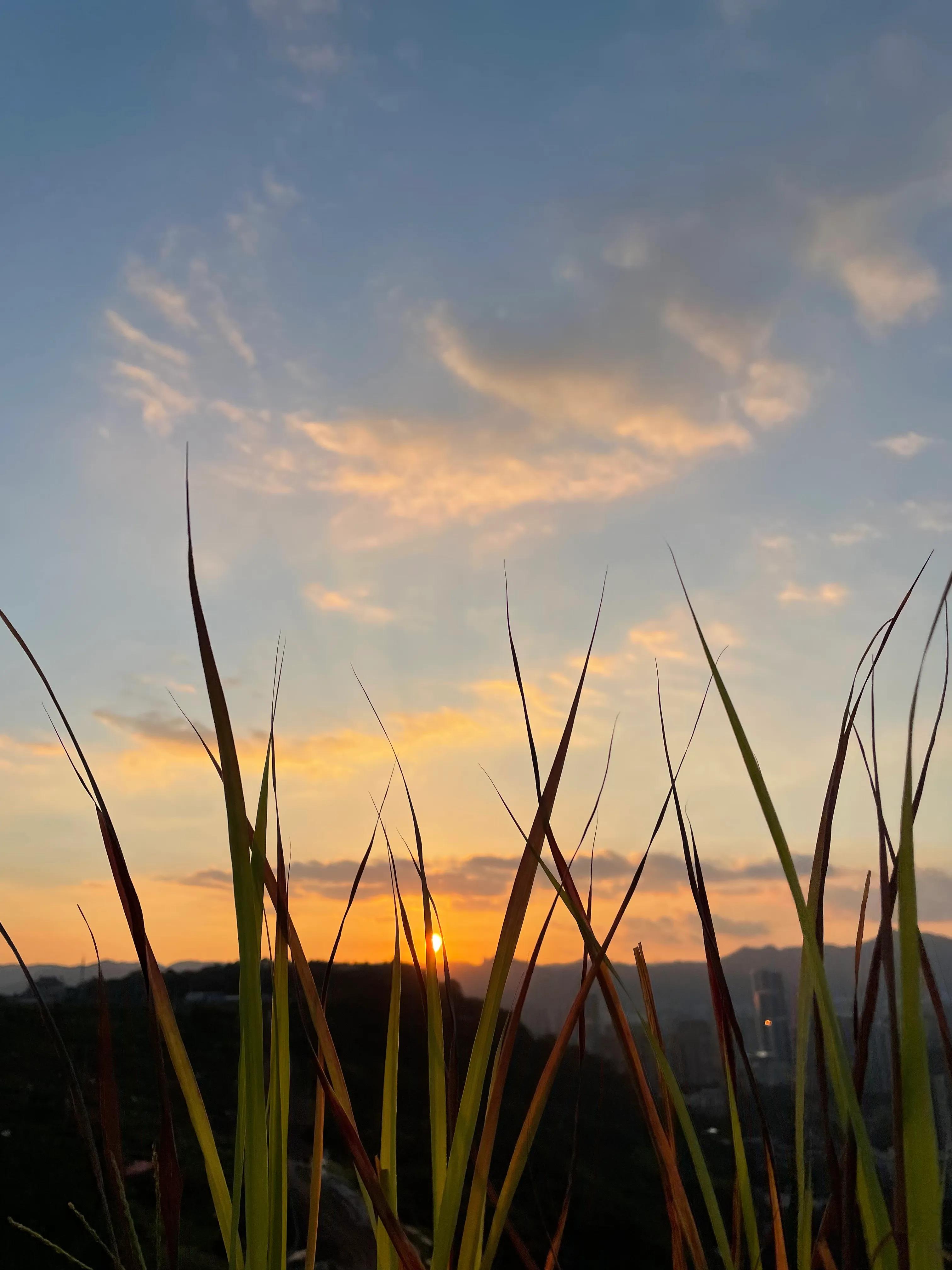 重庆大坪周边攻略,重庆怎么玩转大坪