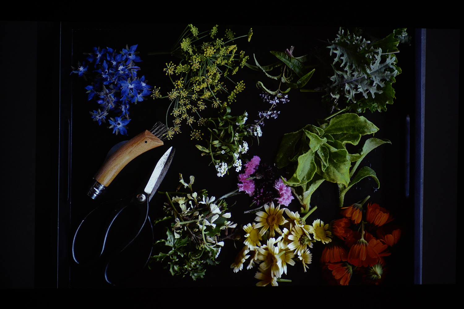 明基e580投影操作说明,明基e540投影仪使用感受