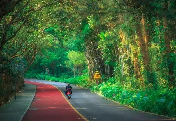 广西最想去的地方,广西最想去的8个地方