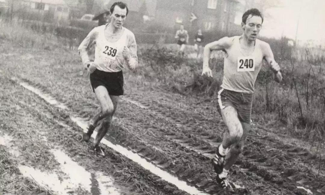 你可能不懂什么是清淡饮食,慢跑的精髓在哪