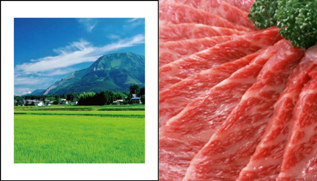 日本和牛三大名牛,日本和牛最出名