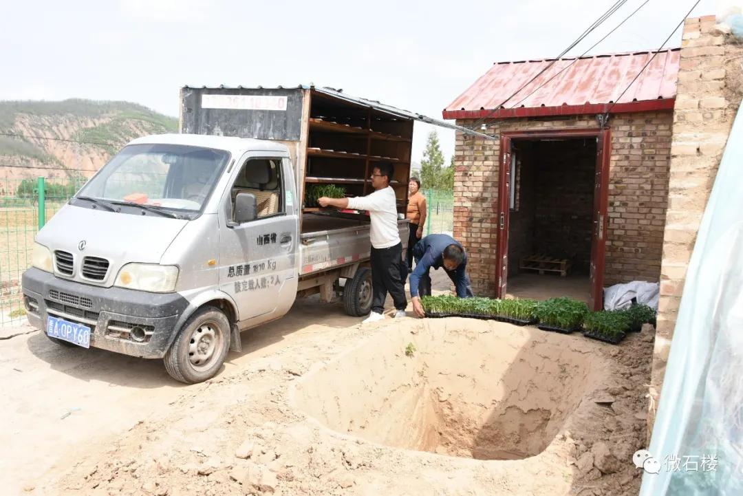 石楼丁喜辉:90后“草根”的创业致富路