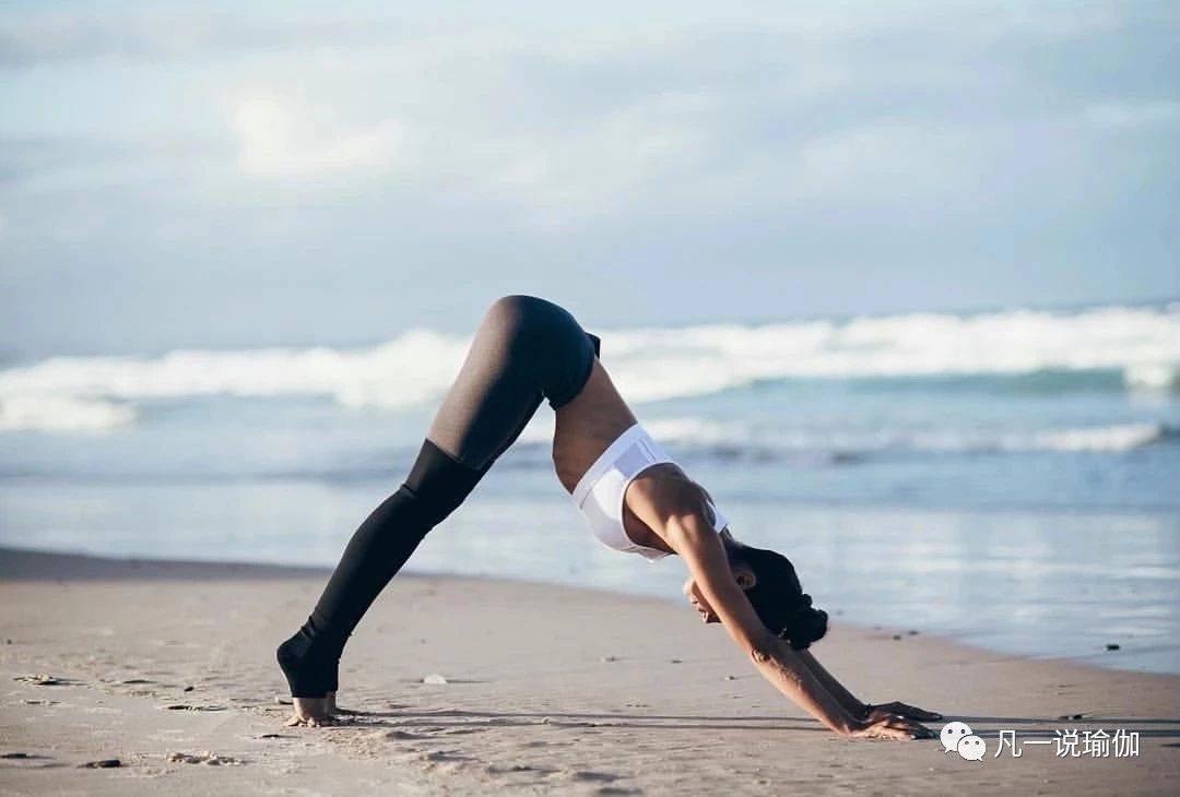 艾扬格瑜伽初学者基本动作,瑜伽艾扬格体式视频教程