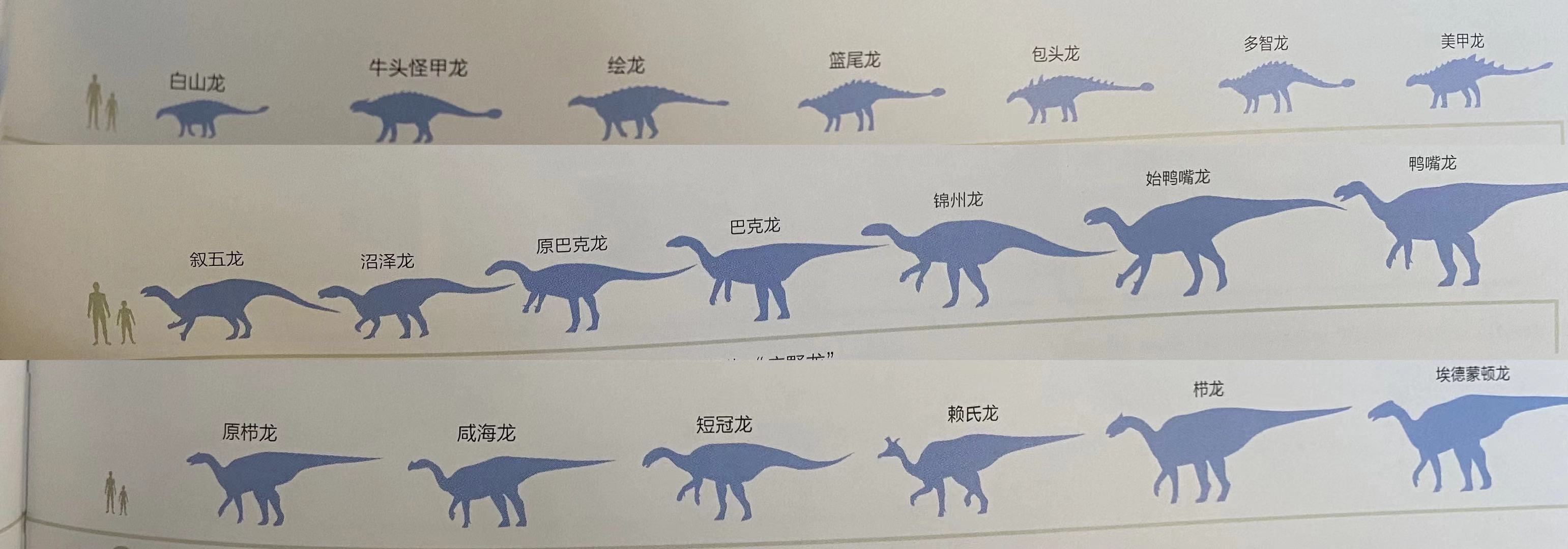 推荐一本儿童看的恐龙百科全书,有关恐龙的科普书籍推荐