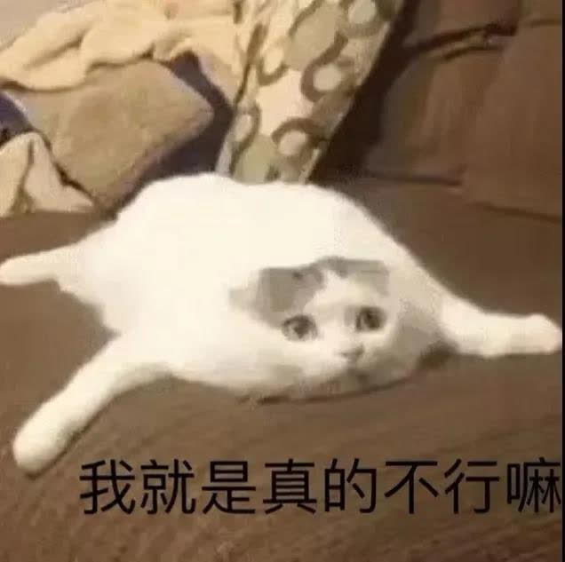 狗狗刚生出的宝宝需要铲屎官干嘛,狗子生宝宝叫主人