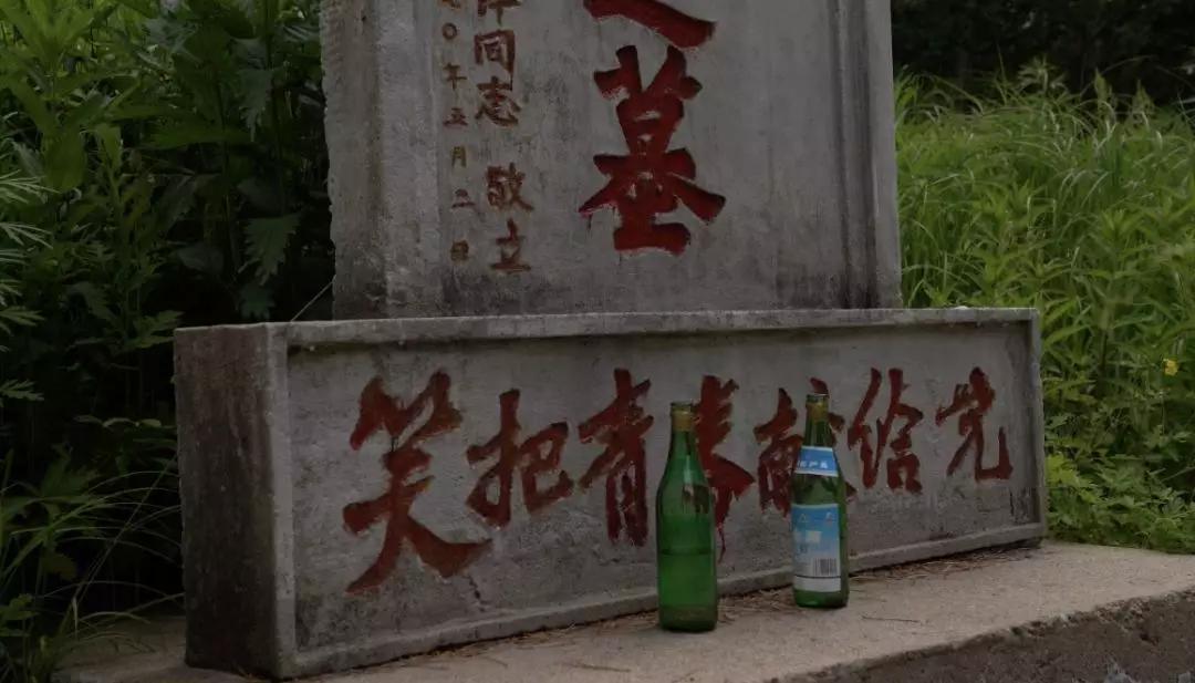 重新认识价值,重新认识东北完整版