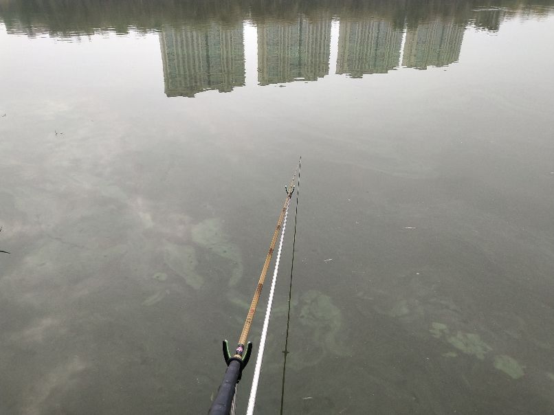 鲫鱼竿两斤以下实用性强吗,鲫鱼竿野钓实用性